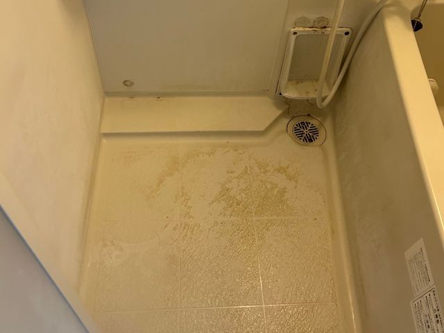 【必ず女性店長が施工♪】カビやしつこい水垢もスッキリ★エリア外/時間外もOK◉