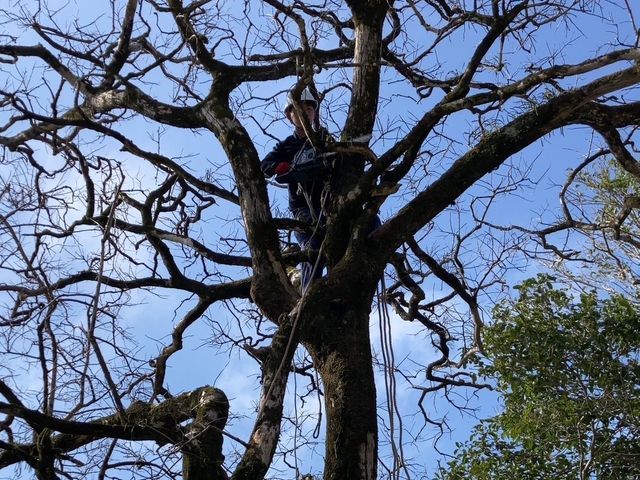 【損害保険加入済みで安心◎】営業時間外のご相談も受付可能です!