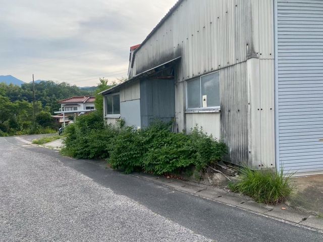 真夏で生い茂った草をしっかり刈ります!処分までお任せ!