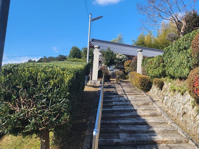 生垣の剪定