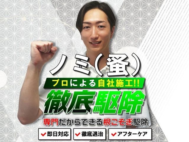 【完全駆除いたします】繁殖したノミも完全駆除!プロだからできる徹底駆除!最短対応