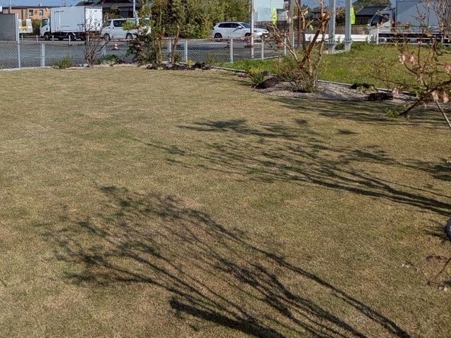 ☆日曜日限定価格☆日本一を受賞した造園屋を経て独立。確かな技術!
