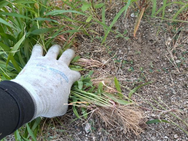 1000件以上の実績!美しい仕上がりと丁寧な作業で感動をお届け