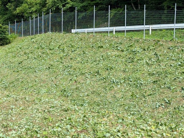 草刈り機による草刈り