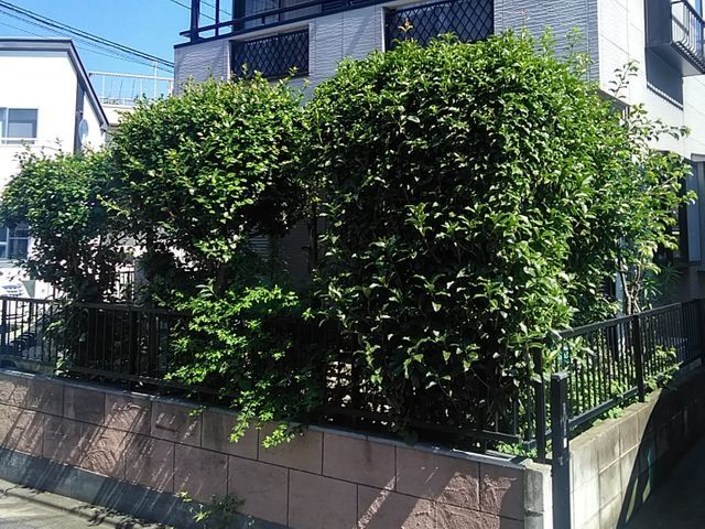 《平日・土ご予約歓迎!》経験豊富な職人が揃ってます!何でも当店へお任せください!
