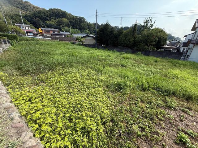 5年の実績と馬力が自慢!予算に合わせて丁寧に提案する安心の出張お手入れサービス