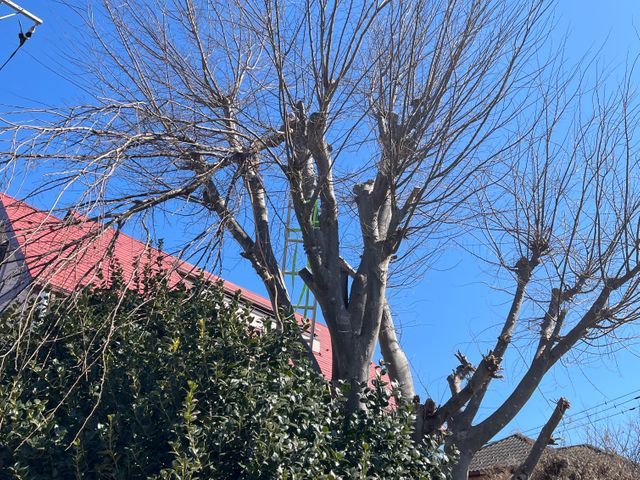 キャンペーン対象業種!1万円で1000円オフ4年の実績で1000件超!コスパ抜群