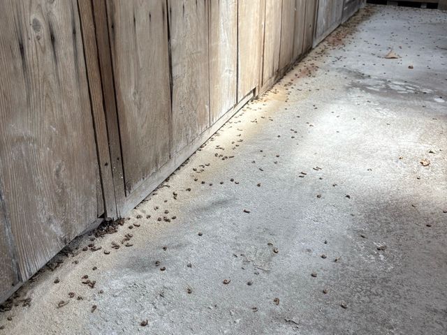 プロの技術でご満足いただけるように心を込めて作業いたします