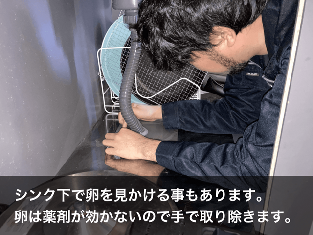 虫好き店長が駆除■再発一回まで無料保証■戸建歓迎■4LDK以上も上限3万円