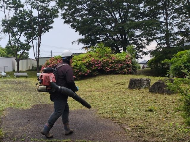 ◇落ち葉清掃◇