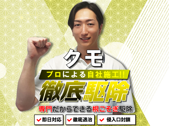 ◆即日対応可◆しつこい蜘蛛の巣も綺麗に駆除!安全な薬剤で巣を作らせない徹底施工!