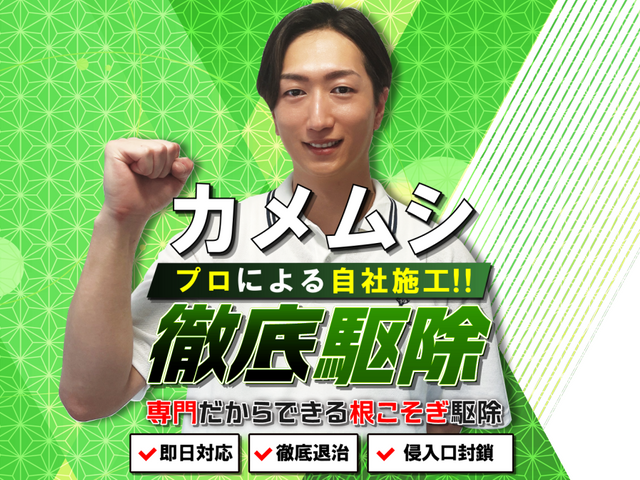 ◆即日対応可◆しつこく飛来するカメムシも徹底駆除!安全な薬剤で寄せ付けない施工!