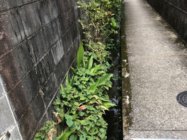 お客様のお力になります!経験と知識を活かして迅速丁寧に作業いたします!