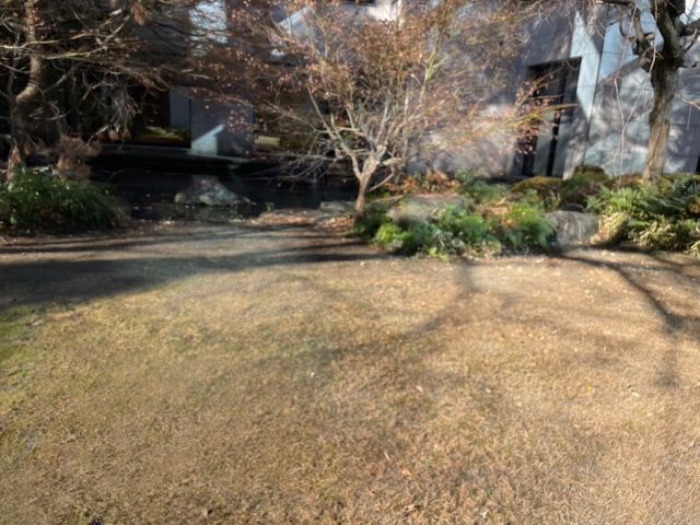 かなり綺麗にします!