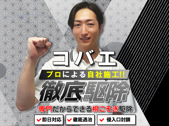 【徹底駆除】コバエ専門の徹底施工!繁殖しやすいコバエも徹底駆除☆完全清掃☆