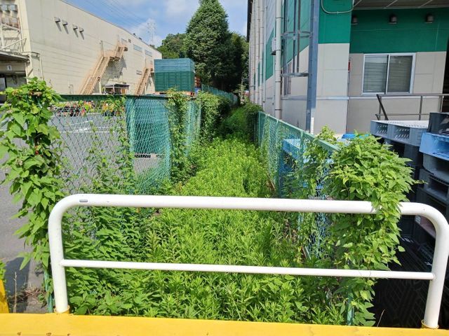 新年を綺麗なお庭で迎えませんか?お庭のことなら庭 翔黒にお任せください。