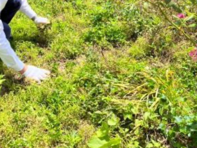 損害保険加入済み◉安心・丁寧な対応を心がけています!
