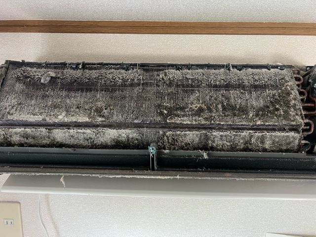 プロの技術と丁寧な対応で多くのお客様に大満足いただいております!損害保険加入済◎