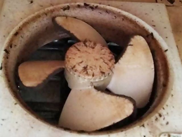 限定特価☆頑固な油汚れはプロにお任せください!ピカピカに致します!