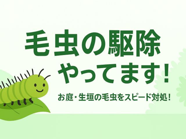 毛虫・チャドクガ駆除/庭木の害虫対策お任せください!