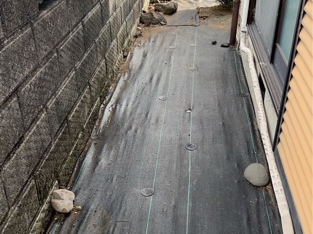 草むしり手作業