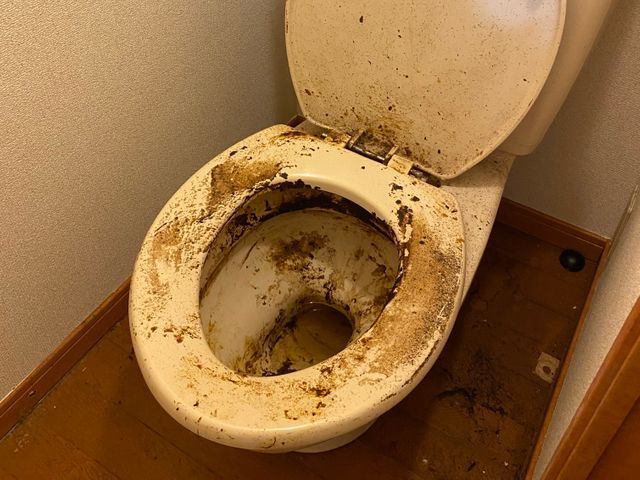 豊富な経験と知識で安心!仕上がり重視で丁寧に作業いたします!