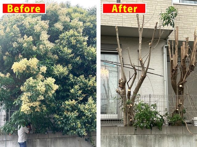 お庭の悩み解決◆安心丁寧地域密着◆うれしくなる庭に