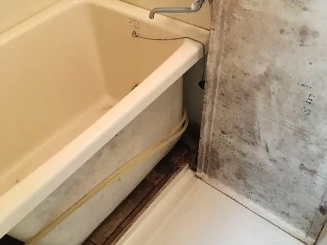 夫婦経営で安心!女性スタッフ同行可能な自社スタッフによる丁寧な5点セット完全清掃