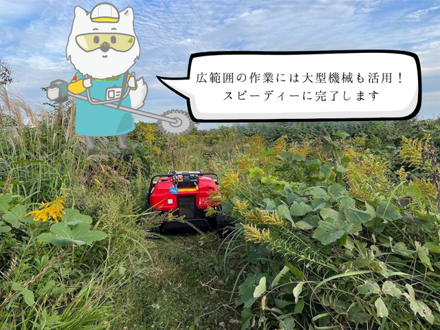 秋の害虫・雑草リセット!来年まですっきり|畦・庭・畑・法面・広範囲お任せください