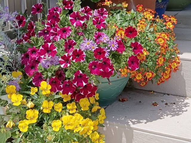 お花&肥料代込★季節のお花を植えます!理想のお庭へお手伝いいたします!