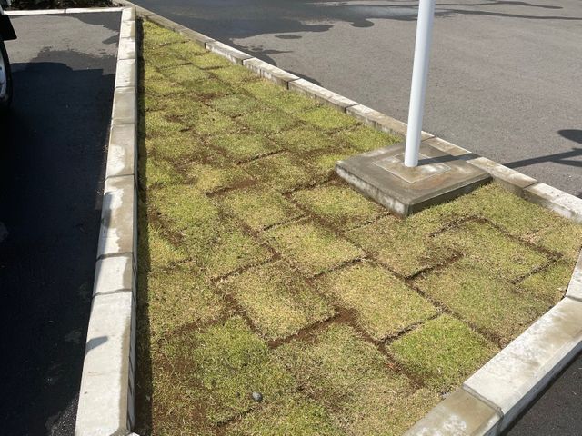 個人邸からマンション、会社の芝張りまで承ります。