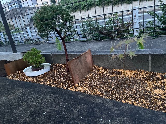 植木鉢、お庭の水やりお任せください♪ 松戸市・柏市・流山市割引あり