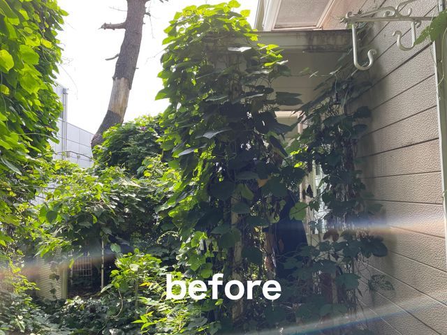 明るいお庭作り♪ お庭の事ならお任せください。まずはお気軽にご相談ください^ ^