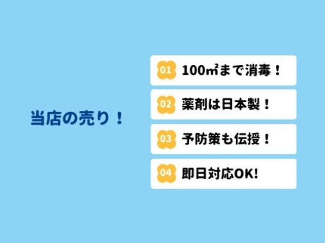 ★広範囲消毒は当店だけ★即日対応可能!この時期は越冬防止にも!