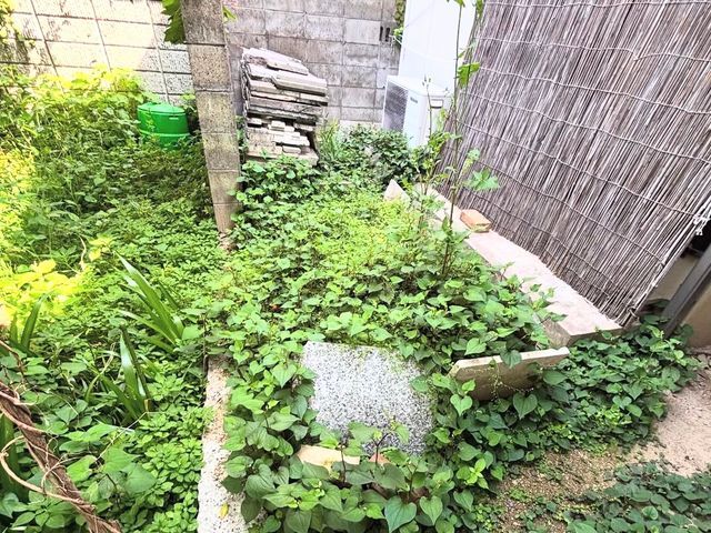☆日曜日限定価格☆常に100%の仕事!草を根から抜きます!