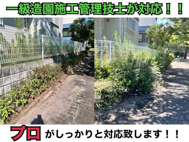 男女2人チームでお伺い!明るく親しみやすいスタッフが対応!