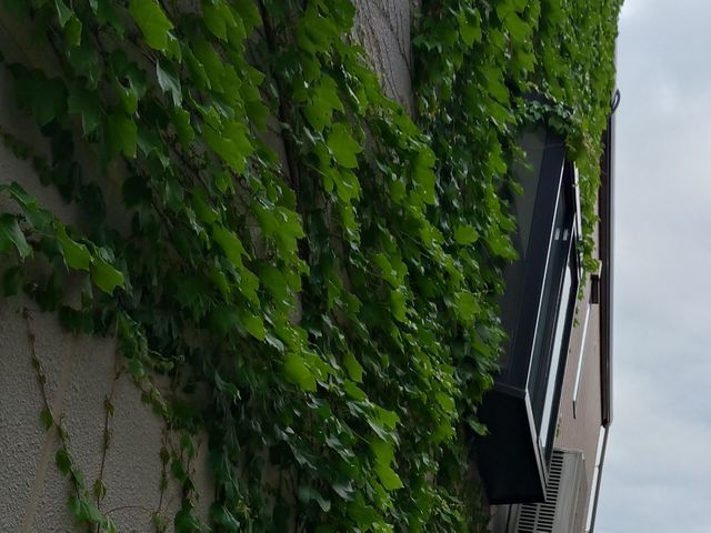 1000件以上の実績!美しい仕上がりと丁寧な作業で感動をお届け