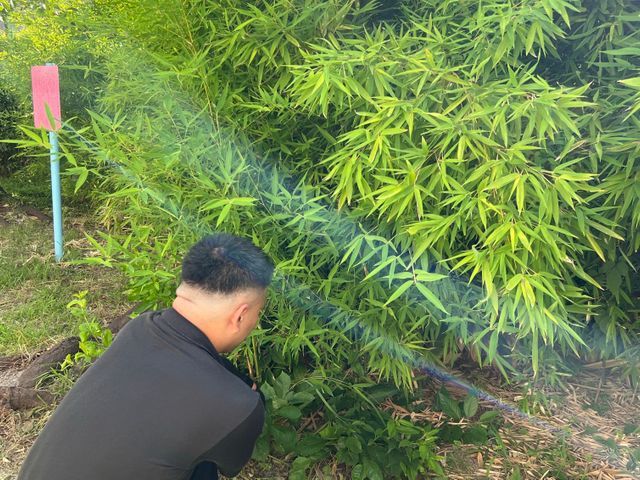 【24時間対応】落ち葉清掃のプロにお任せください!!