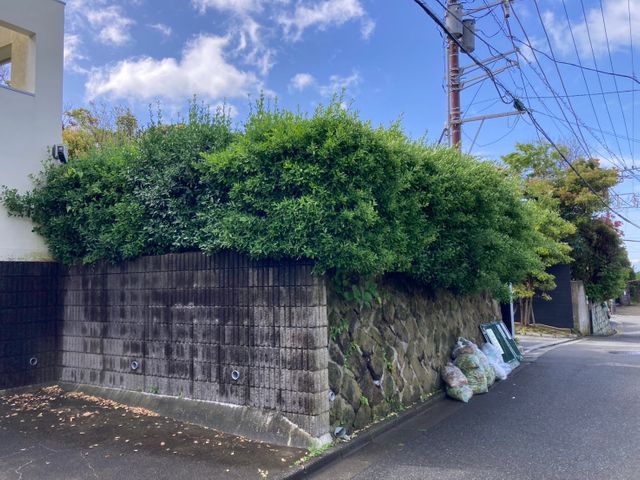 植え込み、生垣を綺麗に仕立てます。