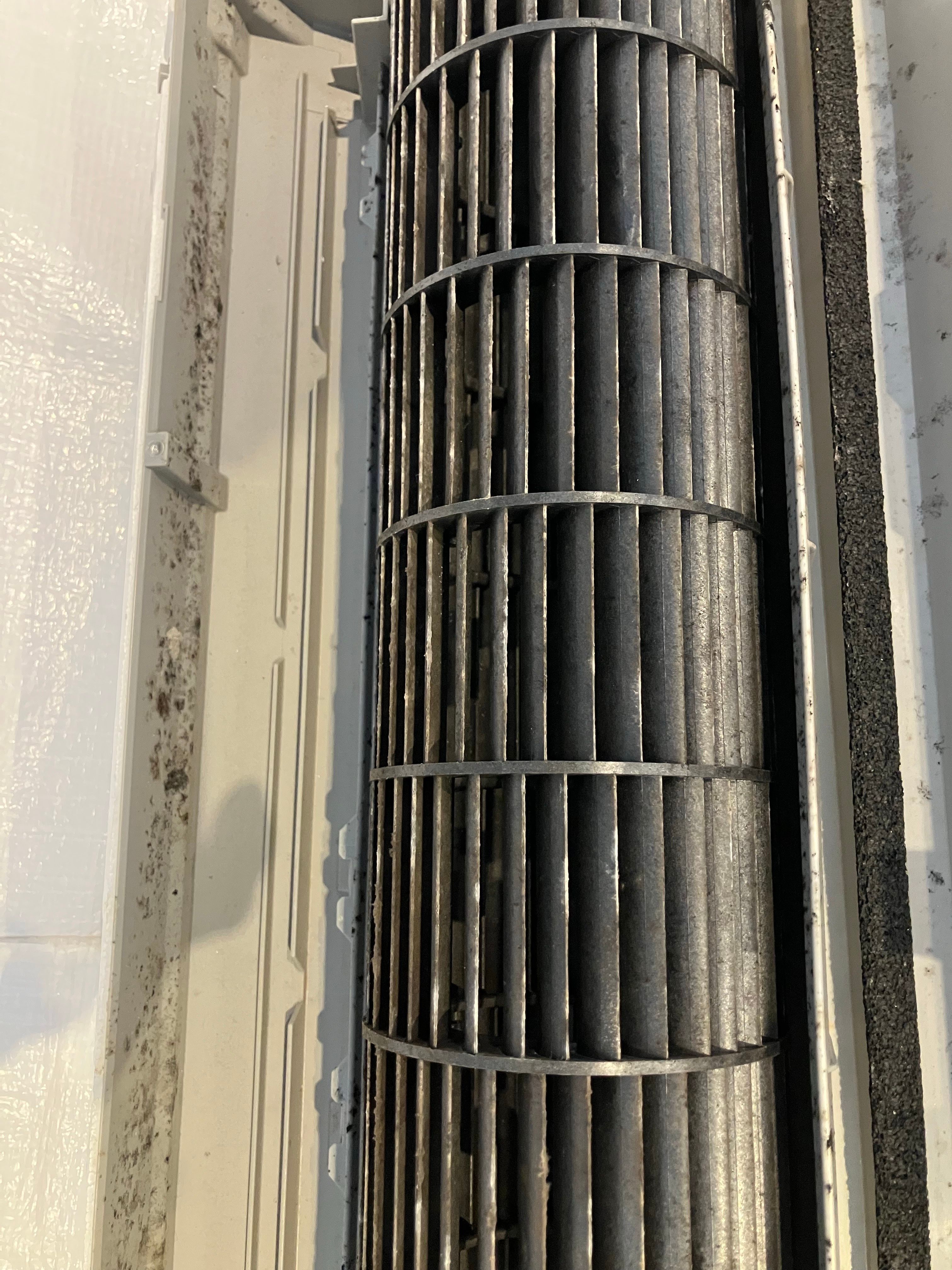 ダイキンS56UTCXPーw完全分解、高圧洗浄、除菌済みのおすすめ一品です。 ダイキンS56UTCXPーw完全分解、高圧洗浄、除菌済みのおすすめ