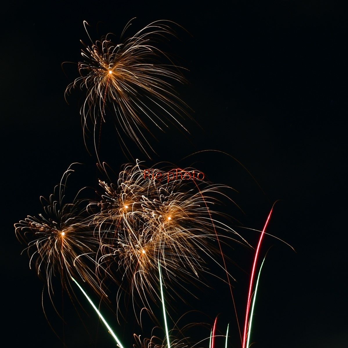 花火 Rie Photo Kids くらしのマーケット