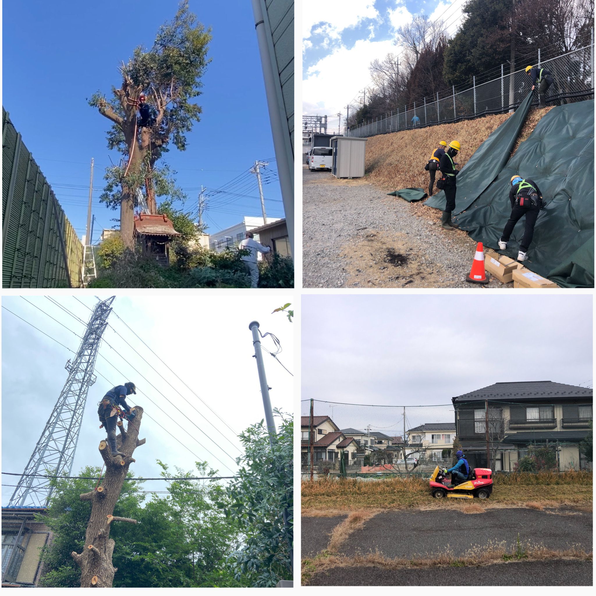 ふじみ野市の植木屋です‼️お見積もり即日でお伺い致します^_^ | Kichi