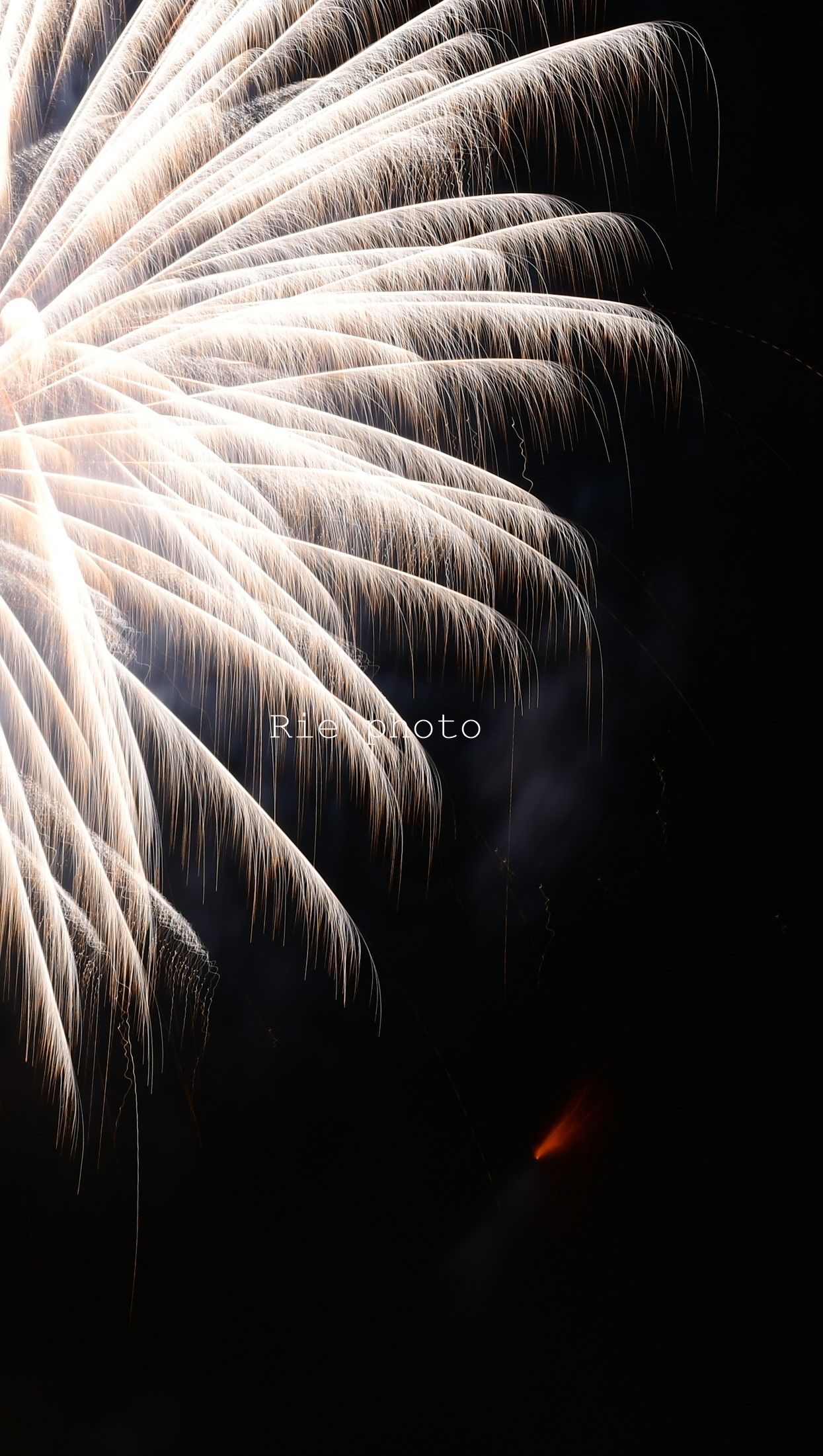 花火大会 Rie Photo Kids くらしのマーケット