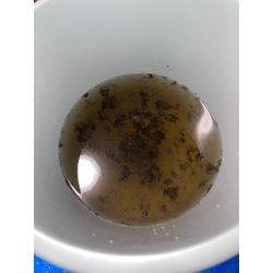 【泉南市岡田】ダイキンエアコンクリーニングならクマッペへ！の画像3