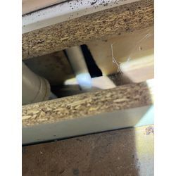 神奈川県海老名市ゴキブリ駆除の画像1