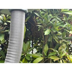 🐝【豊田市三軒町】小学校前の駐車場でスズメバチ駆除｜緊急対応・安全第一！の画像1