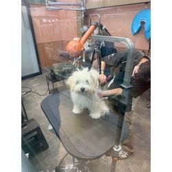 新年　明けましておめでとう御座いますの画像1