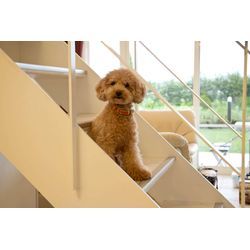 【お知らせ】ペットリフォーム事業を新たに開設いたしましたの画像1