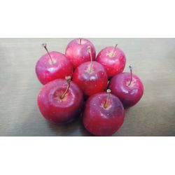 連休明けは家事代行サービスをの画像1