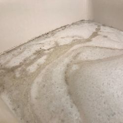 家庭のお風呂も要注意！レジオネラ属菌🦠の画像1